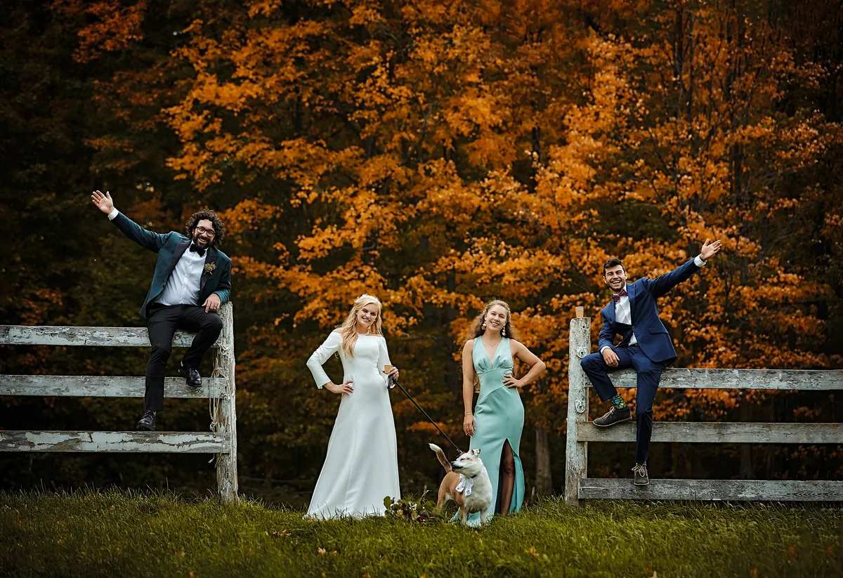 Portfolio image