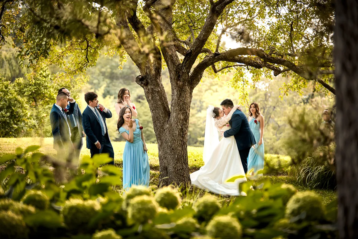 Portfolio image