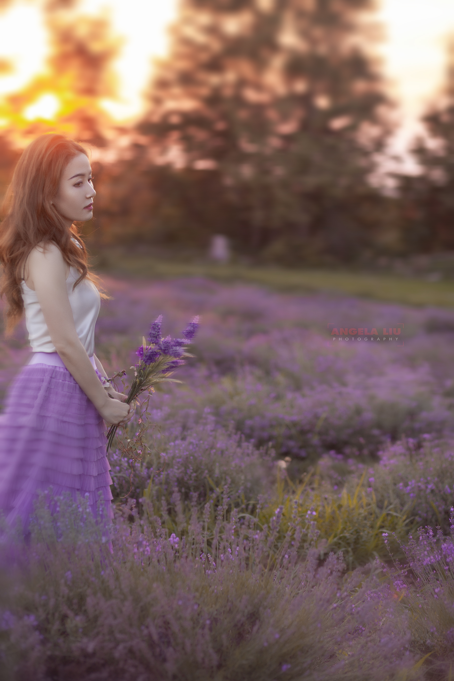 Chasing Lavender - Mini Session
